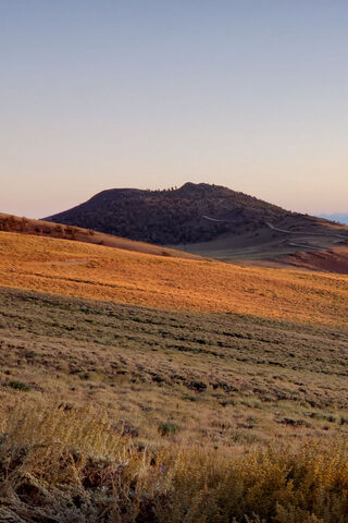 Golden Horizon: The Beauty of HD2