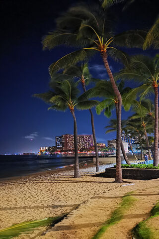 Nighttime Serenity in Honolulu 🌴🌊