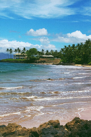 Tropical Paradise Awaits 🌴🌊