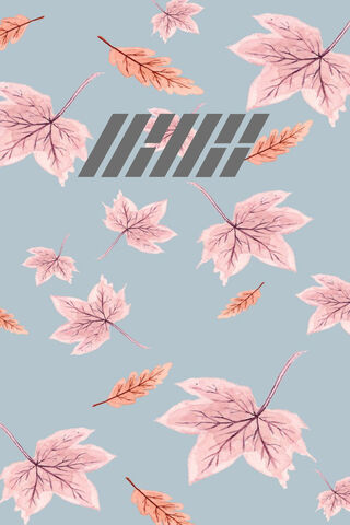 Autumn Whispers: The IKON Fall Collection 🍂✨