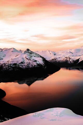 Frozen Serenity: A Glimpse into Nature's Chill