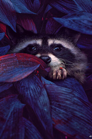 Whispers of the Wilderness 🌿✨