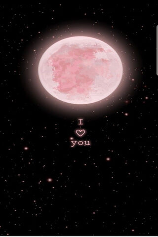 Moonlit Love 🌙❤️