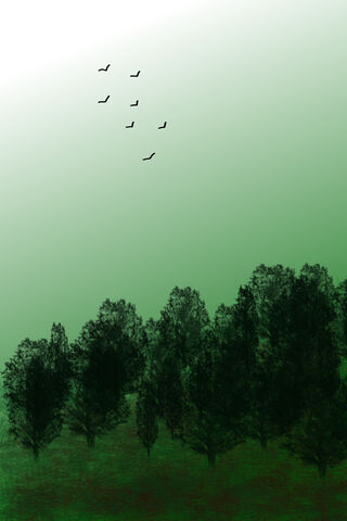 Emerald Serenity: A Glimpse of Ireland's Beauty 🌿🍀