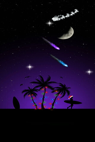 Tropical Holiday Magic 🌴🎄