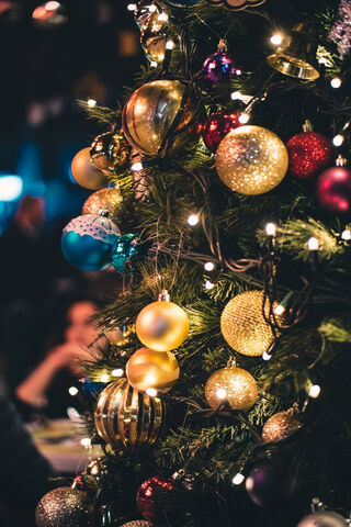 Sparkling Moments of Celebration ✨🎄