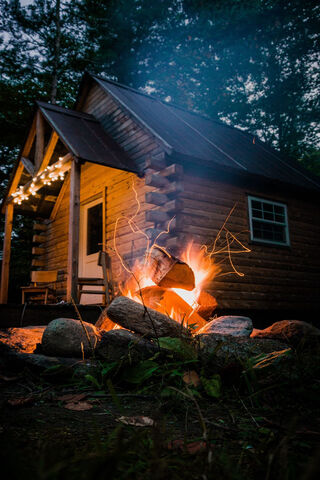 Cozy Retreat in the Heart of the Jungle 🌲🔥