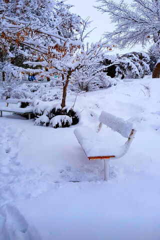 Winter's Embrace: A Snowy Retreat