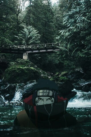 Kisame Hoshigaki: The Shark of the Hidden Mist 🦈🌲