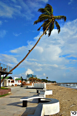 Serenity by the Shore: Kerala's Coastal Charm 🌴🌊