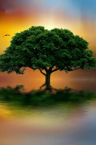 Solitude in Nature 🌳✨