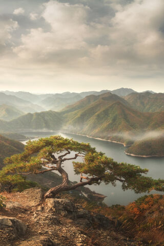 Serenity in Nature's Embrace 🌄🌲