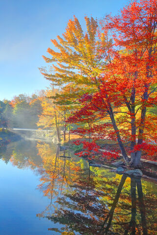 Autumn Reflections at Lake Serenity 🍂🌊