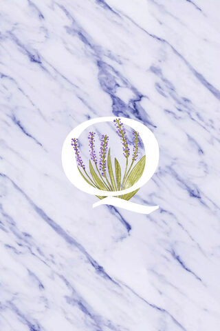 Quintessential Lavender: A Touch of Elegance 🌿💜