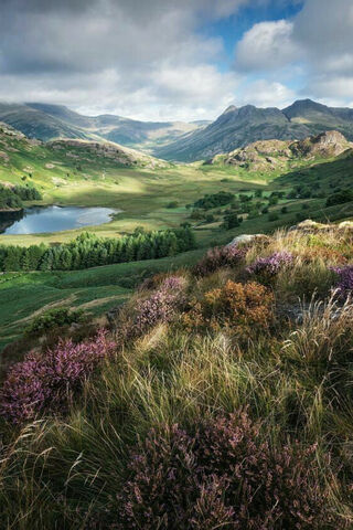 Serenity in Nature's Embrace 🌄🌿