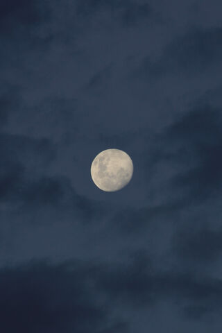 Luna SG: A Celestial Wonder 🌙✨