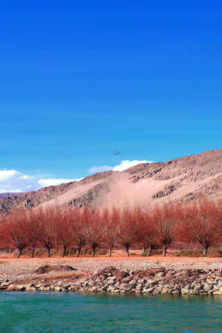 Serenity in Leh: Nature's Canvas 🎨🏞️