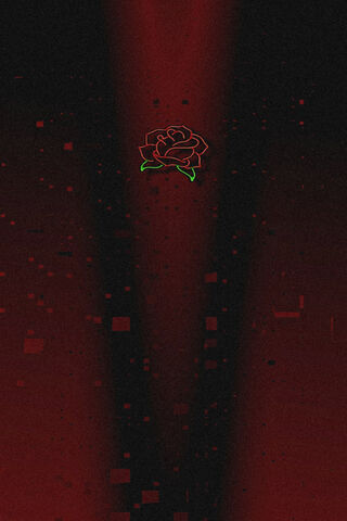 Eternal Bloom: A Love Story 🌹