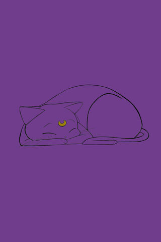 Luna: The Dreamy Guardian Cat 🐾🌙