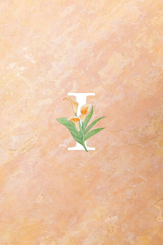 Elegant I: A Floral Embrace 🌸