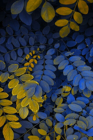 Autumn's Embrace: A Dance of Colors 🍂💙