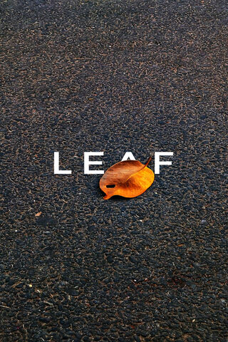 Autumn's Whisper 🍂