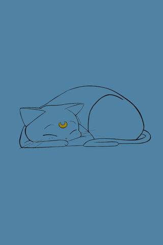 Dreamy Moments with Luna 🌙✨