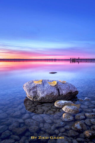 Serenity at Lac: A Tranquil Evening