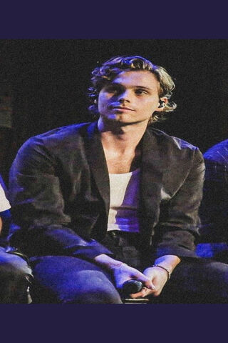 Captivating Moments with Luke Hemmings 🎤✨