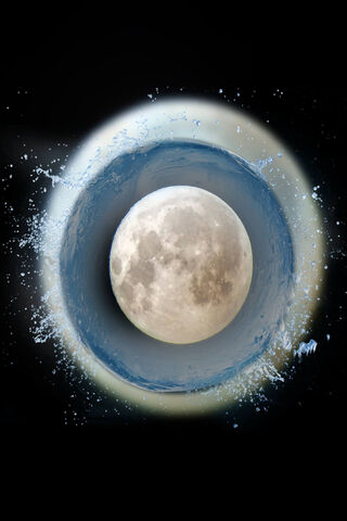 Celestial Feast: The Moon Dish 🌙🍽️
