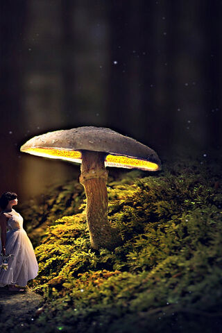 Enchanted Forest: A Magical Encounter 🍄✨
