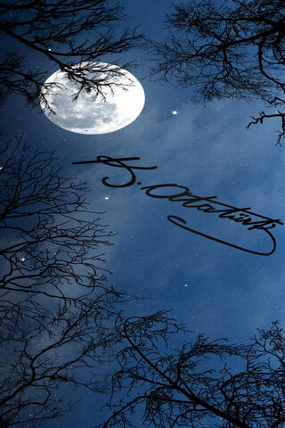 Moonlit Tribute to Atat..