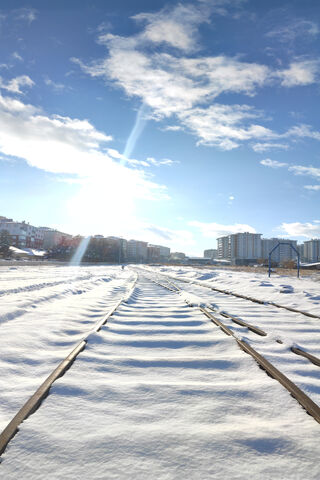 Winter's Embrace: A Serene Landscape