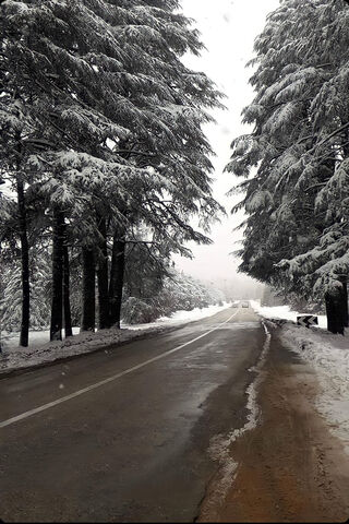 Winter Wonderland in Morocco ❄️🌲