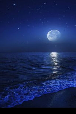 Moonlit Serenity 🌙✨