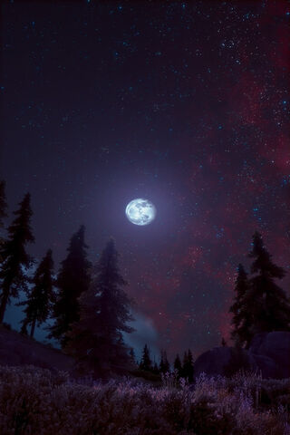 Whispers of the Night Sky 🌙✨