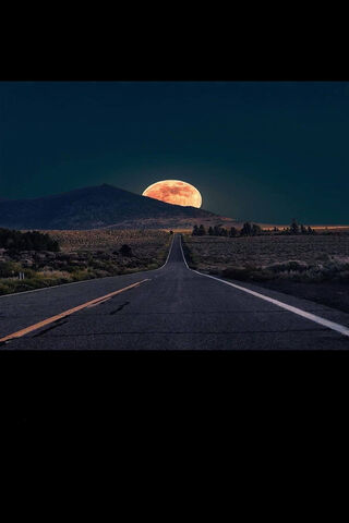 Moonlit Journey 🌕✨