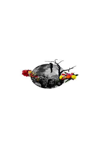 Echoes of Injustice 🌹🌑