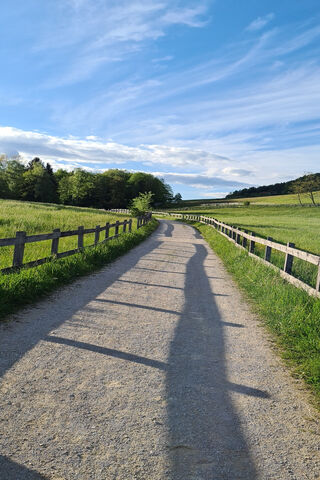 Pathway to Serenity 🌿