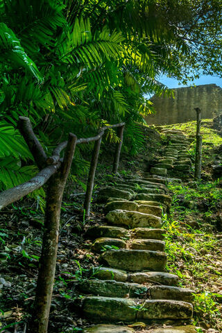 Pathway to Serenity 🌿✨