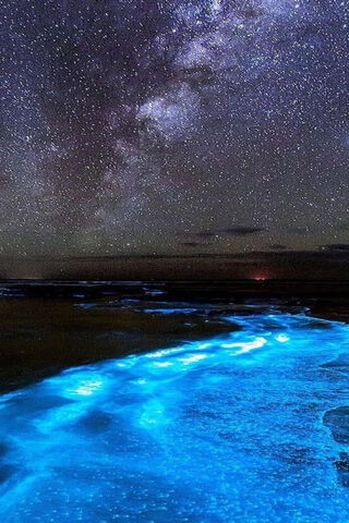 Mystical Glow of Nightlight Beach 🌌✨