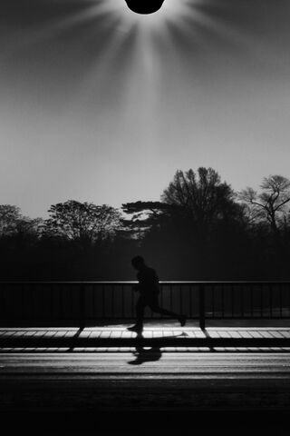 Chasing Shadows: The No..