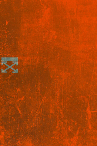 Vibrant Hues: The Essence of Orange Off-White 🍊✨