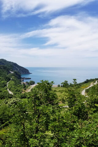 Orman's Serene Coastline 🌊🌿