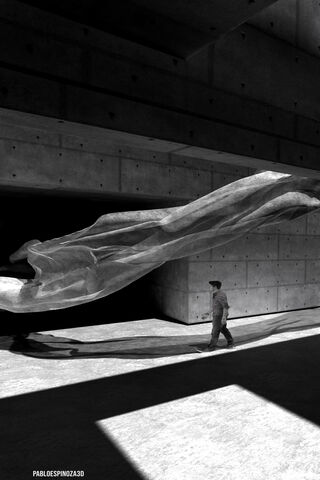 Whispers of the Pine: Nature Meets Architecture 🌲✨