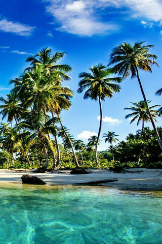 Tropical Paradise Await..