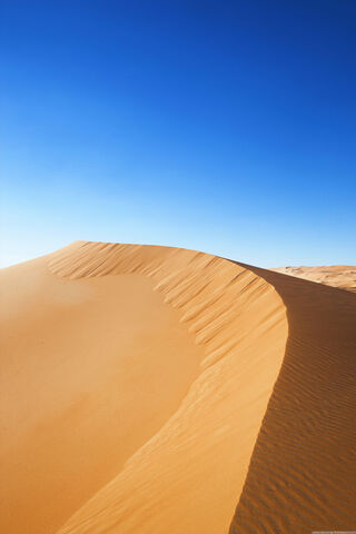 Serenity in the Sands