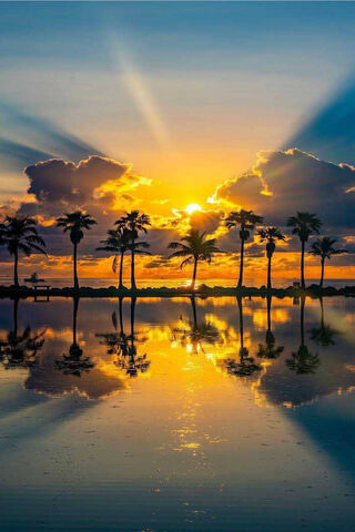 Golden Horizon: A Tropical Evening