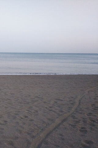 Serenity at Playa: A Tranquil Escape 🌊✨