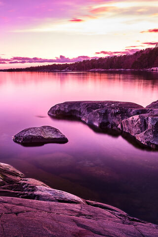 Twilight Tranquility: A Purple Dream